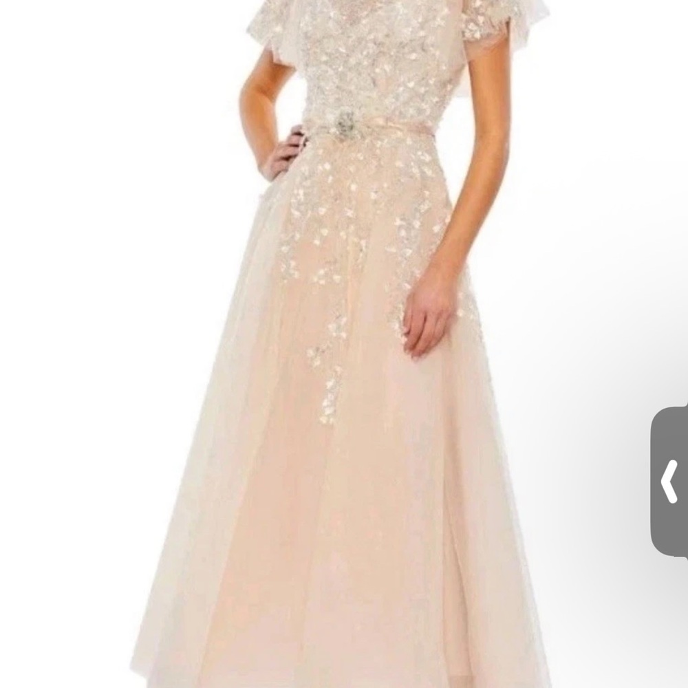 Elegant Blush Floral Embellished A-Line Dress